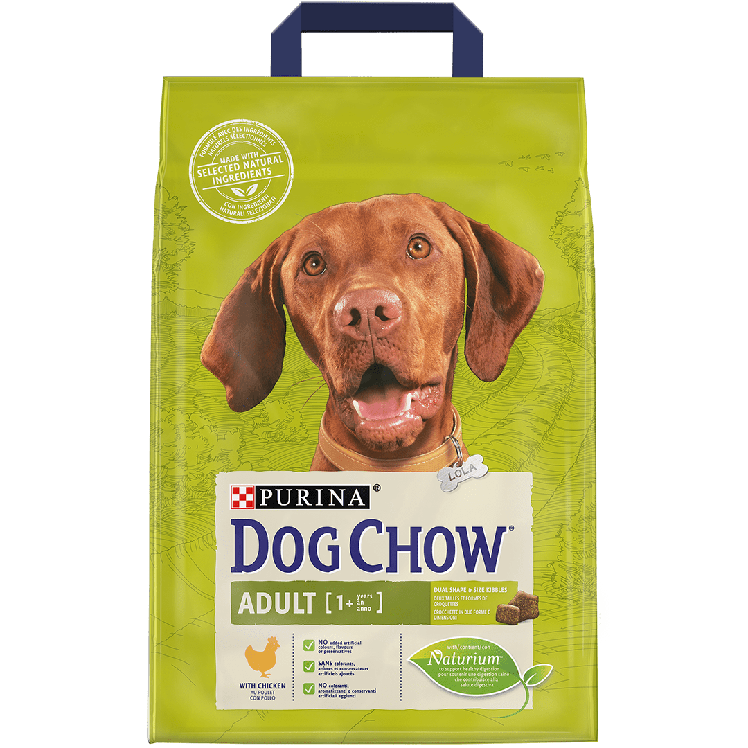 Croquettes pour chien adulte Poulet Purina Dog Chow